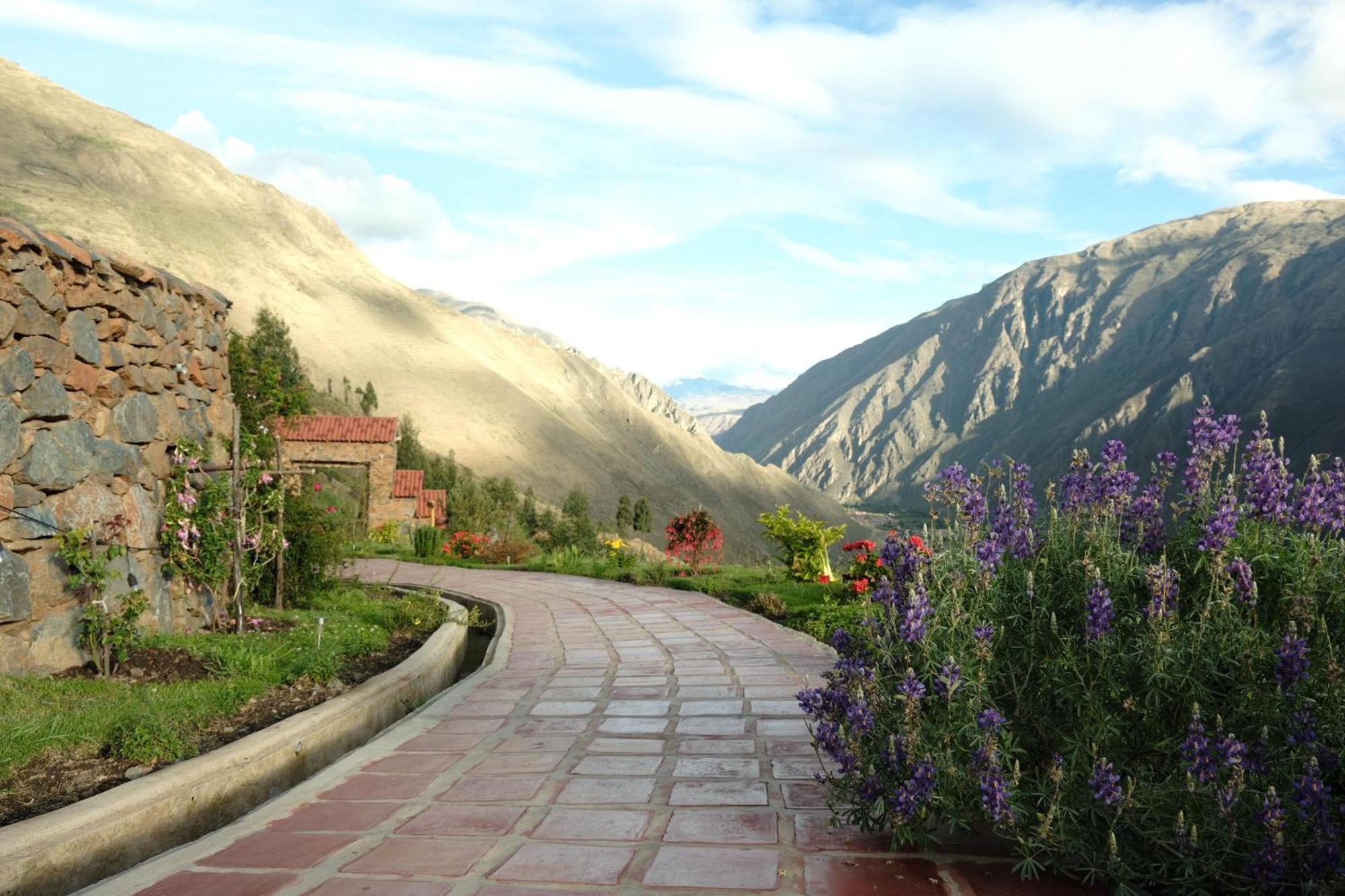 Stardome Spiritual Experience Ollantaytambo